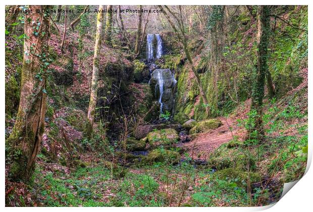 Clampit Falls, Devon. Print by Diana Mower