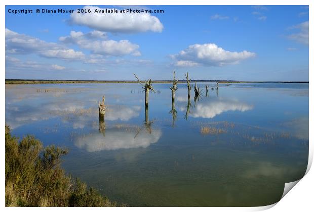 Tollesbury Marshes Essex Print by Diana Mower