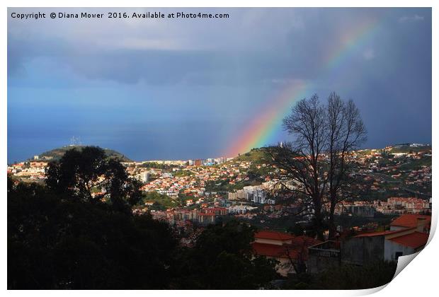 Rainbow over Funchal Print by Diana Mower