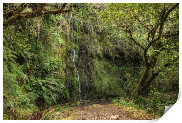 Madeiran Waterfall Print by Diana Mower