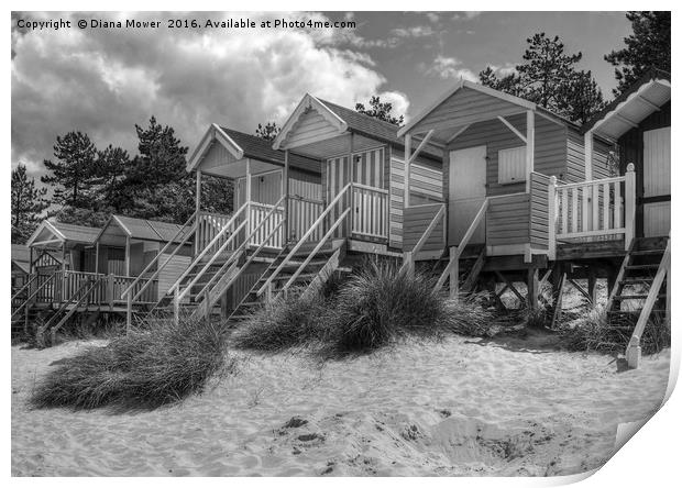 Wells Beach Huts Print by Diana Mower