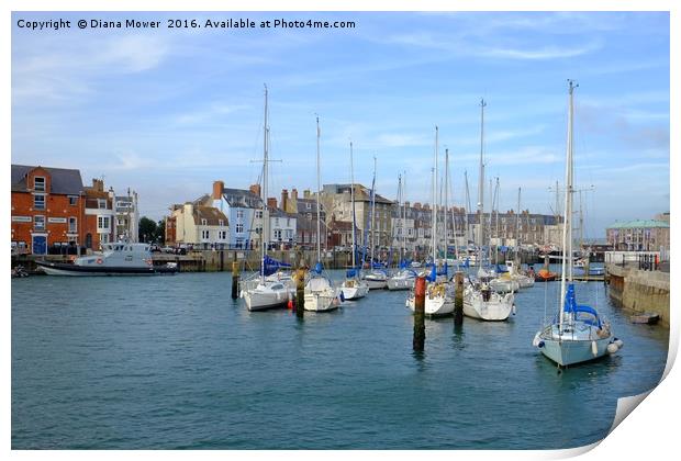 Weymouth Harbour  Print by Diana Mower
