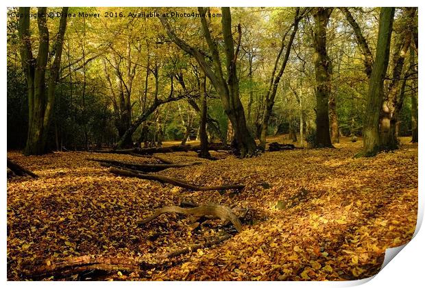 Epping Forest  Print by Diana Mower