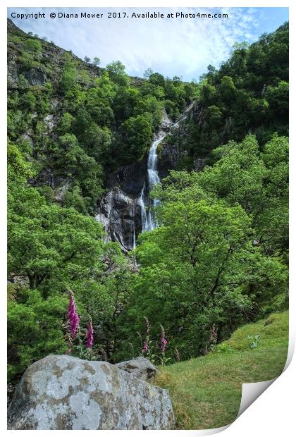 Aber Falls  Print by Diana Mower