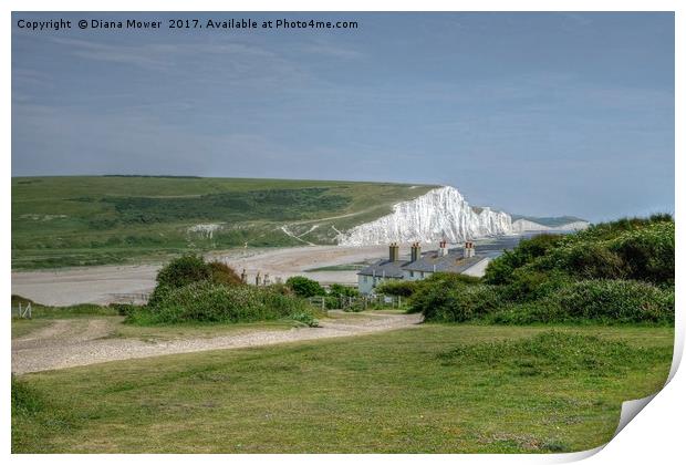 The Seven Sisters and The Cuckmere Valley Print by Diana Mower