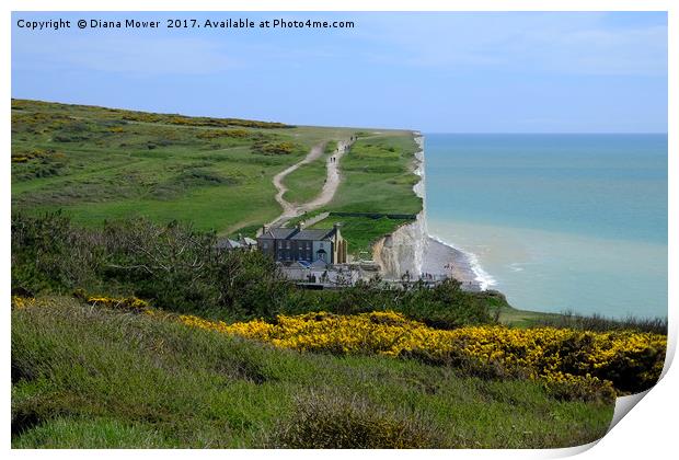 Birling Gap and The Seven Sisters  Print by Diana Mower