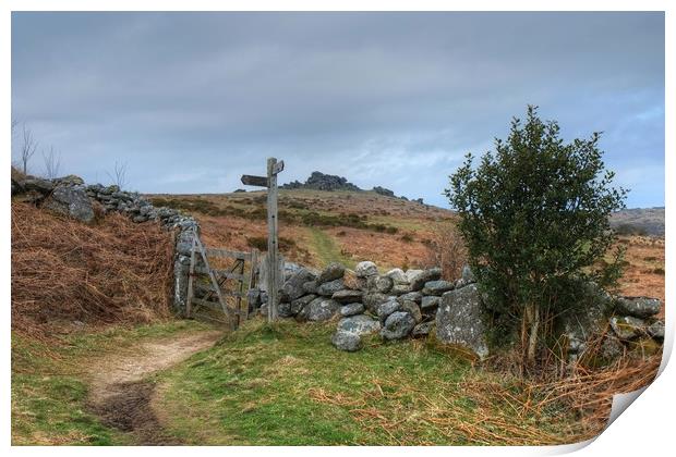 The Path to Hound Tor Print by Diana Mower