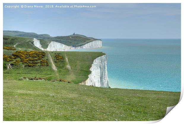 The Seven Sisters Cliffs Sussex. Print by Diana Mower