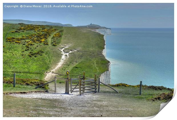 Walking the Seven Sisters Print by Diana Mower