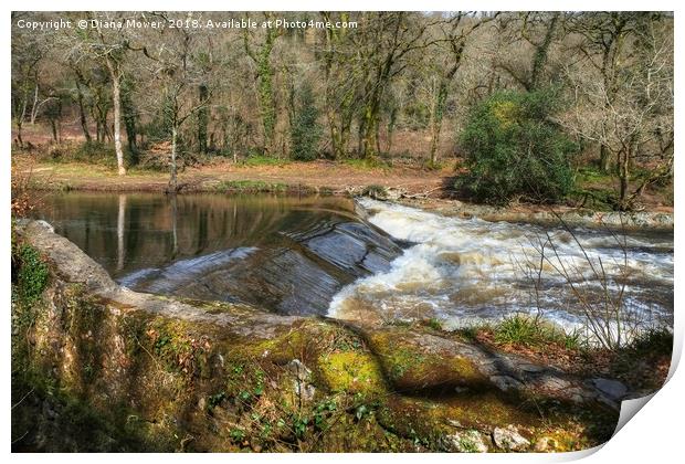 The River Dart at Holne Weir. Print by Diana Mower