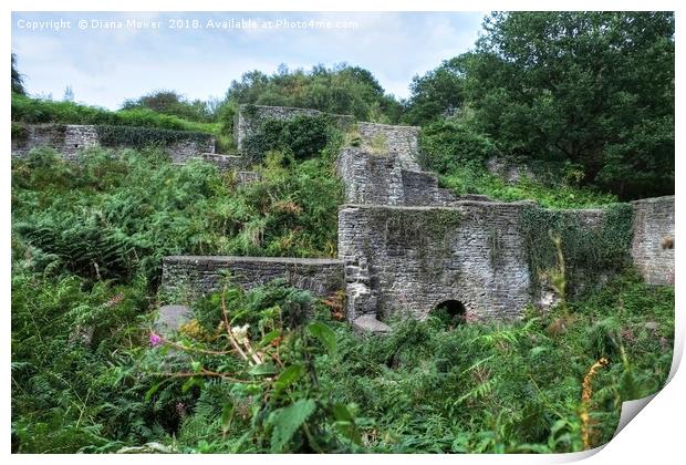 Darkhill Iron Works Print by Diana Mower