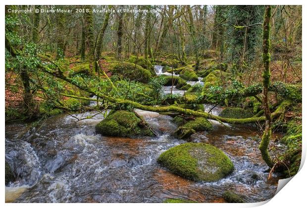 Becka Brook Dartmoor Print by Diana Mower