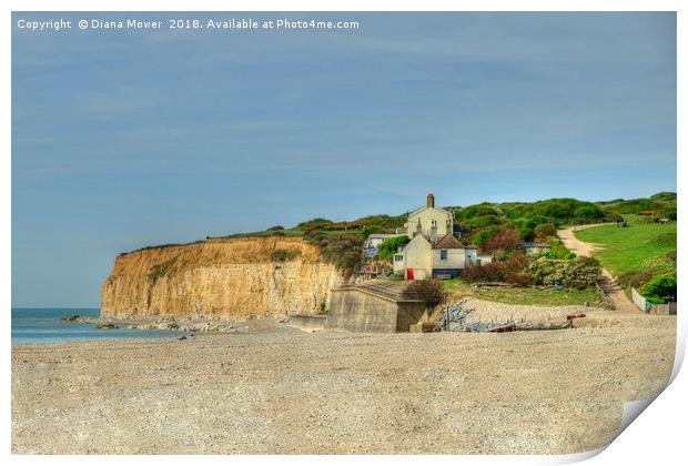 Cuckmere Haven Beach Print by Diana Mower