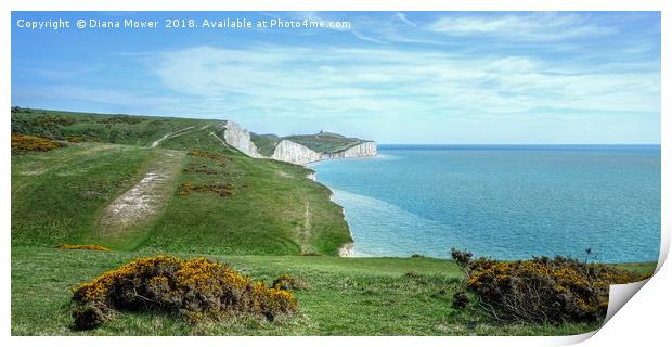 The Seven Sisters chalk Cliffs  Print by Diana Mower