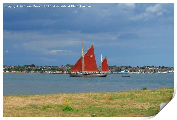 CK 18 Pioneer at Brightlingsea  Print by Diana Mower