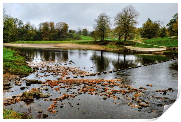 The River Wharfe Stepping Stones Print by Diana Mower