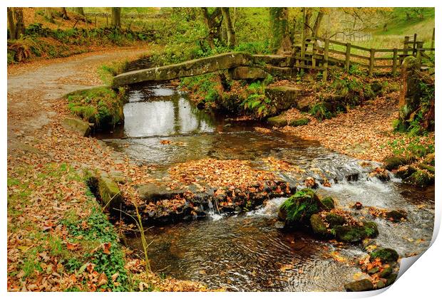 Wycoller Clam Bridge  Print by Diana Mower