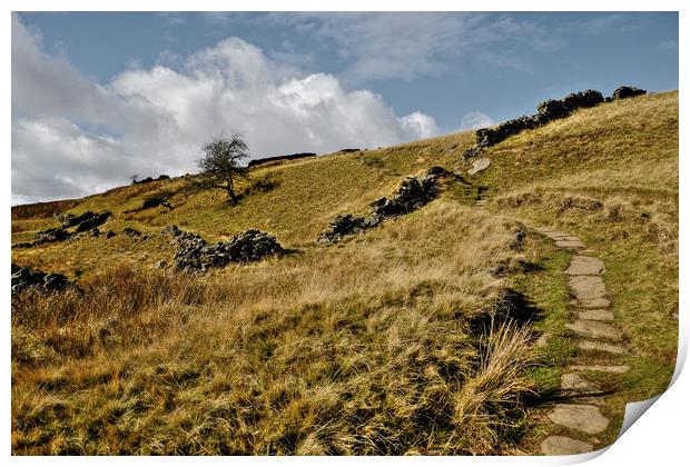 Yorkshire Dales Pathway Print by Diana Mower