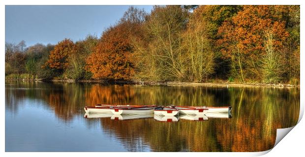 Hatfield Forest Lake Print by Diana Mower