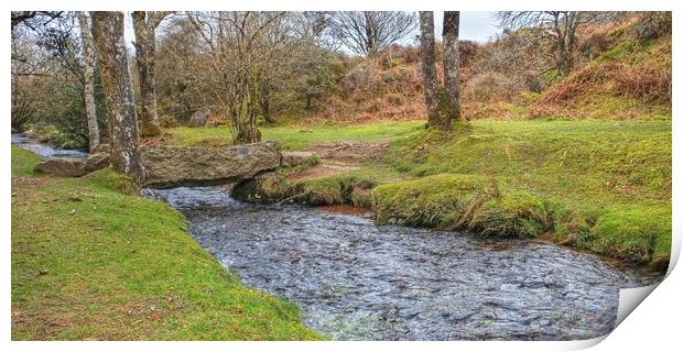 New Becka Brook Clapper Bridge  Print by Diana Mower