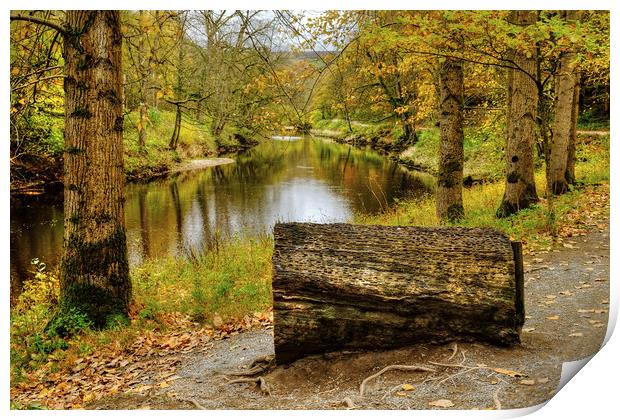 The River Wharfe Coin Seat Print by Diana Mower