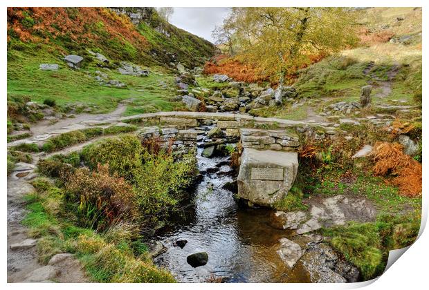 Bronte Bridge Haworth Moor Print by Diana Mower