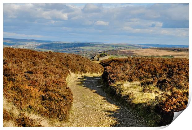 Haworth from the moors Print by Diana Mower