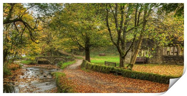 Wycoller Lancashire Print by Diana Mower