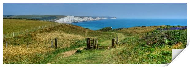 The Seven Sisters Sussex Print by Diana Mower