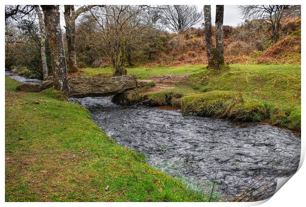  New Clapper Bridge Becka Brook  Print by Diana Mower