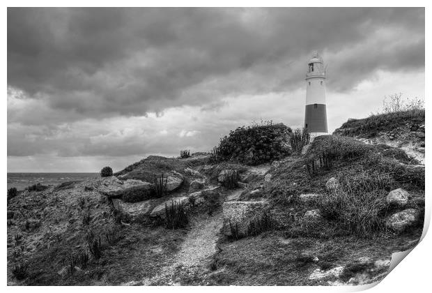 Portland Bill Print by Diana Mower