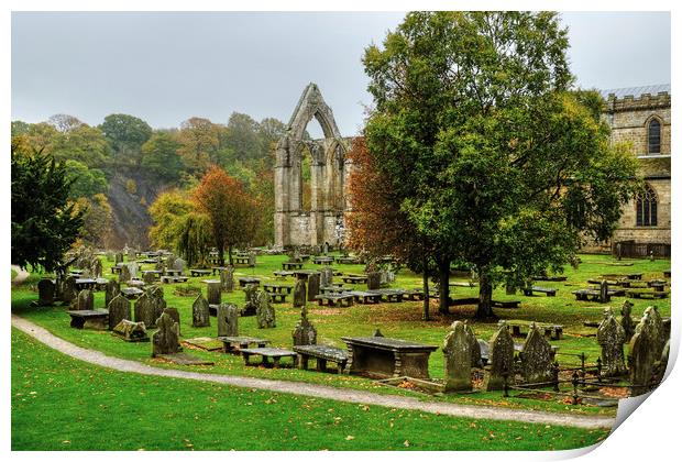 Bolton Priory Ruins Yorkshire Print by Diana Mower