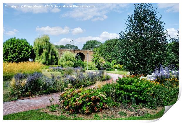 Chelmsford Central Park Print by Diana Mower