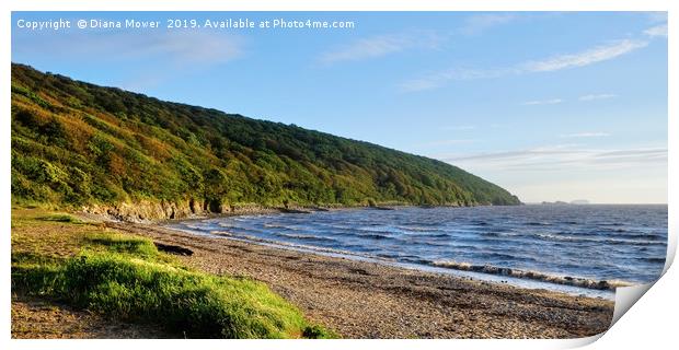  Sand Bay Beach and Woodlands Print by Diana Mower