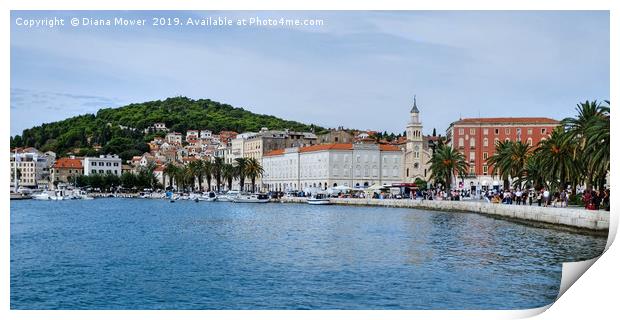 Split Croatia Print by Diana Mower