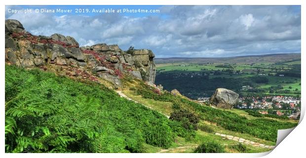 The Cow and Calf Ilkley Moor Print by Diana Mower