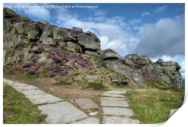 The Cow and Calf Seat Ilkley Moor Print by Diana Mower