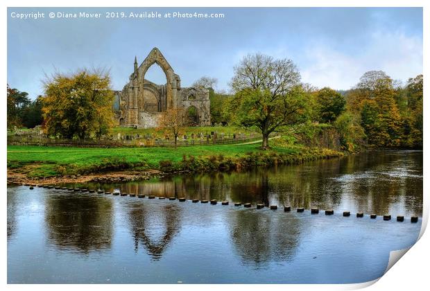 Bolton Abbey Stepping Stones Wharfedale Print by Diana Mower