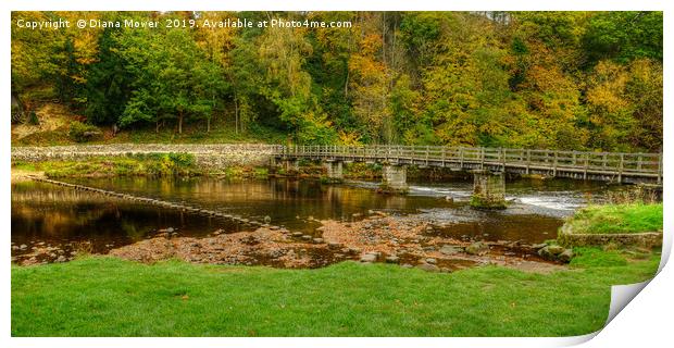 Bolton Abbey Stepping Stones and bridge  Print by Diana Mower