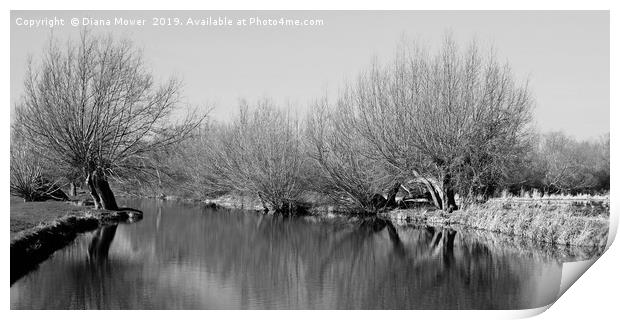 Midwinter on The River Stour   Print by Diana Mower