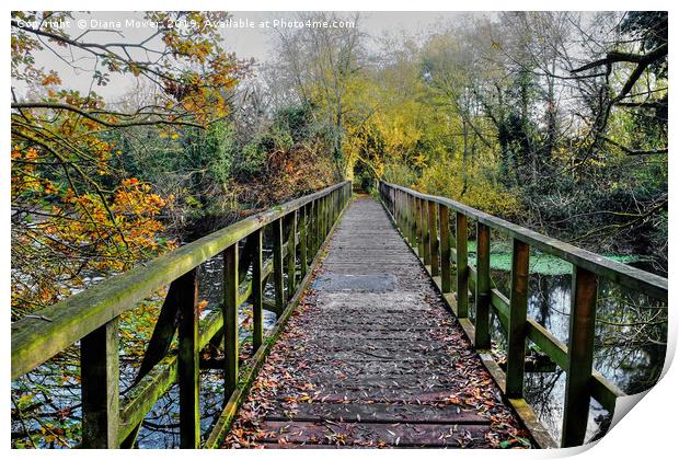 Beeleigh Footbridge Print by Diana Mower