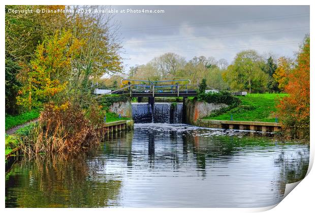 Beeleigh Lock Print by Diana Mower