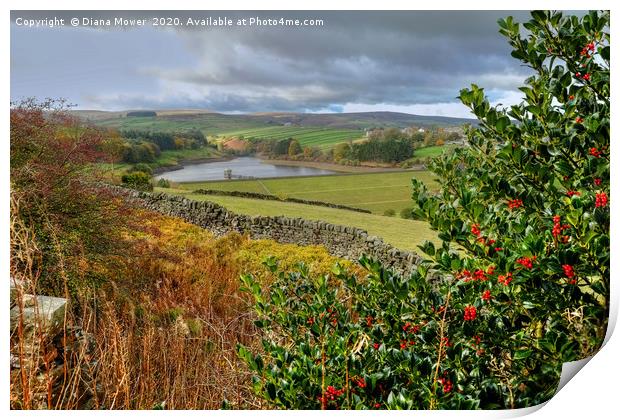 Lower Laithe Reservoir Yorkshire Print by Diana Mower