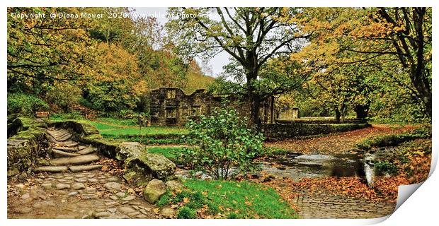 Wycoller Packhorse bridge Print by Diana Mower