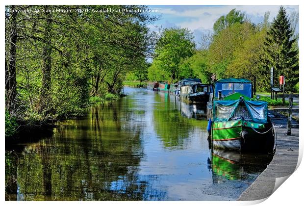 Leeds and Liverpool Canal  Print by Diana Mower