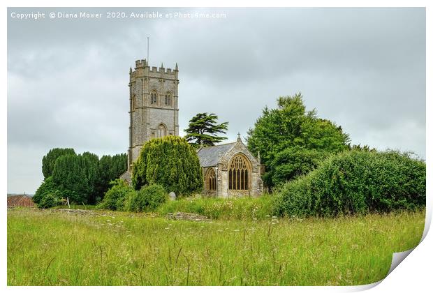 Muchelney Church Print by Diana Mower