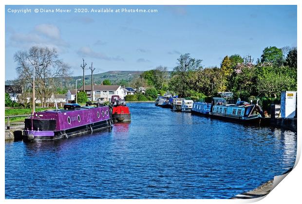 Leeds and Liverpool Canal at Bingley Print by Diana Mower