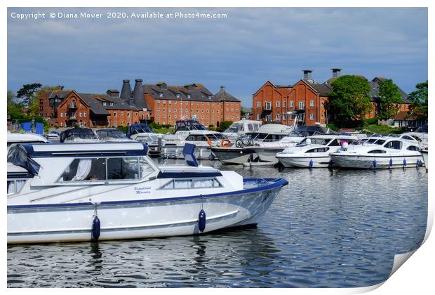 Oulton Broad Marina Print by Diana Mower