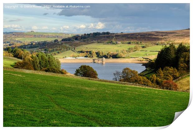 Lower Laithe Reservoir  Print by Diana Mower