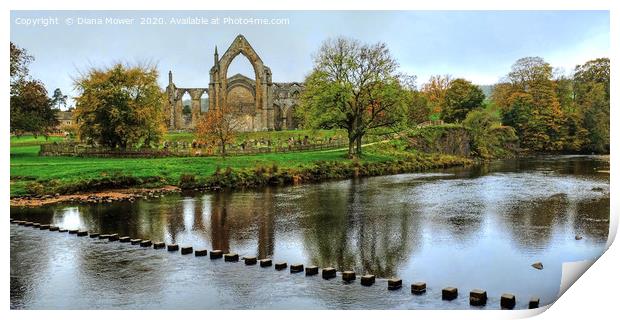 Bolton Abbey Stepping Stones Wharfedale Print by Diana Mower